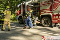 _2026-06-04 Baum über Strasse B141 Pramwald-1622